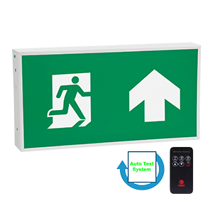 EX Series6